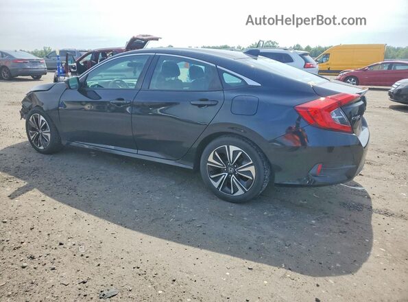 2HGFC1F31HH657004 2017 HONDA CIVIC Black Tył lewy