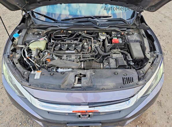 2HGFC1F36HH637668 2017 HONDA CIVIC Gray Սալոնի հետևի տեսք
