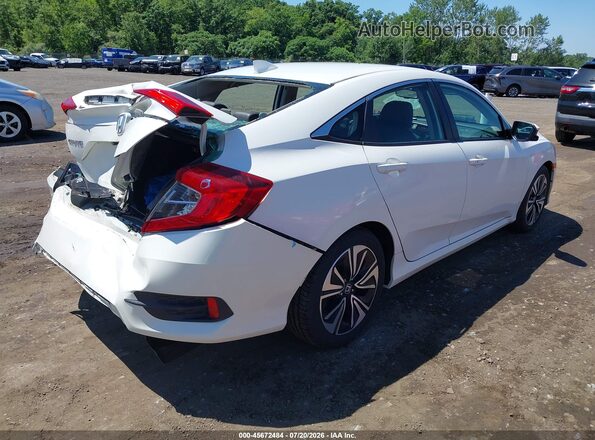 2HGFC1F72HH654146 2017 HONDA CIVIC White Հետևի աջ
