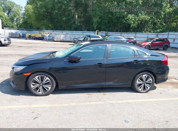 2HGFC1F77HH652277 2017 HONDA CIVIC Black Սալոնի 360 աստիճան տեսք