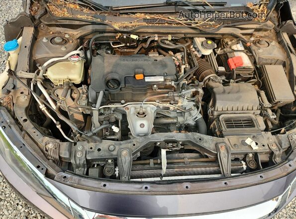 2HGFC2F51HH509670 2017 HONDA CIVIC Gray Vista interior trasera