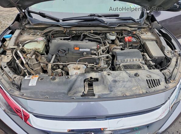 2HGFC2F51HH558979 2017 HONDA CIVIC Gray უკანა სალონის ხედი