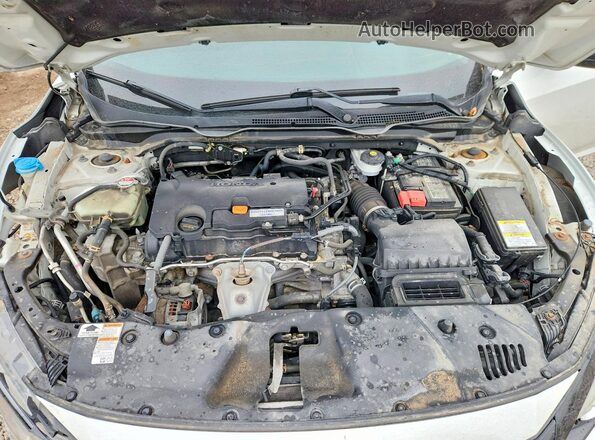 2HGFC2F54KH003502 2019 HONDA CIVIC Белый Вид задней части салона