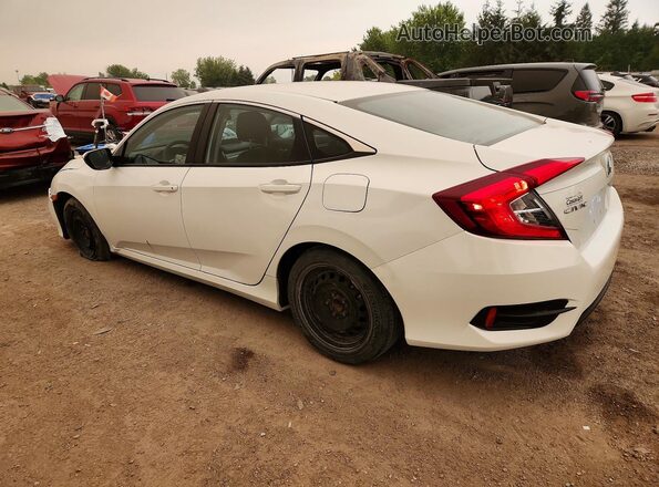2HGFC2F54KH019859 2019 HONDA CIVIC Белый Задняя левая четверть