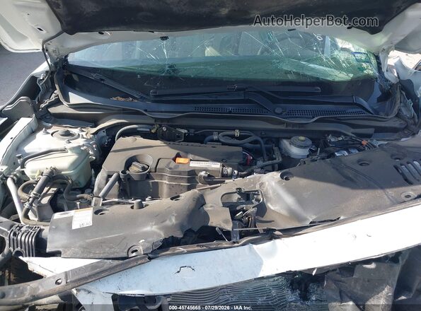 2HGFC2F56HH547993 2017 HONDA CIVIC White Հետևի տեսք