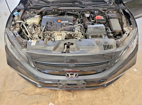 2HGFC2F60MH555168 2021 HONDA CIVIC Black Vista interior trasera