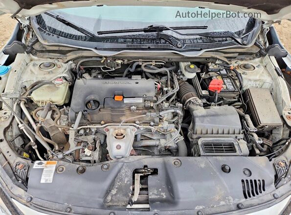2HGFC2F64KH557728 2019 HONDA CIVIC White Widok wnętrza z tyłu