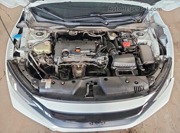 2HGFC2F65MH551813 2021 HONDA CIVIC Белый Вид задней части салона