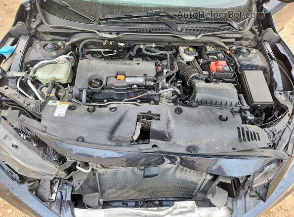 2HGFC2F68KH600810 2019 HONDA CIVIC Blue Widok wnętrza z tyłu
