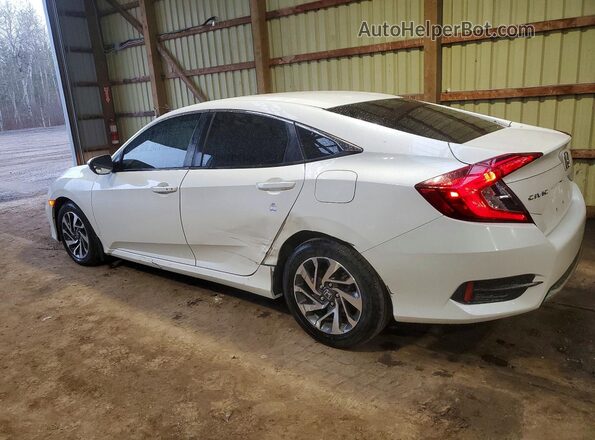 2HGFC2F71LH015240 2020 HONDA CIVIC White Tył lewy