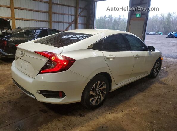 2HGFC2F71LH015240 2020 HONDA CIVIC White Tył prawy