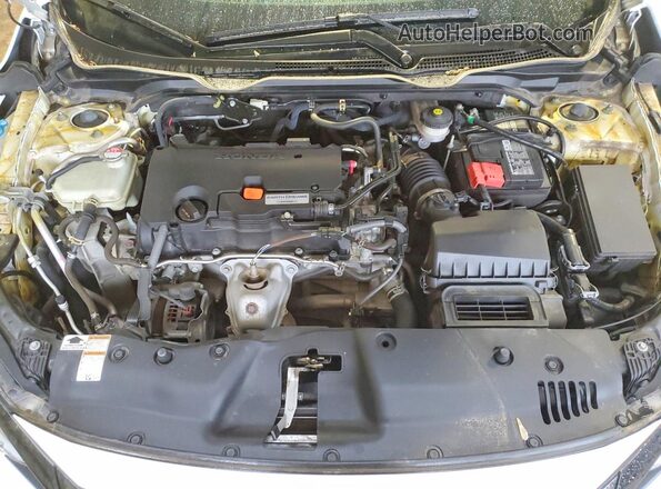 2HGFC2F71LH015240 2020 HONDA CIVIC White Widok wnętrza z tyłu