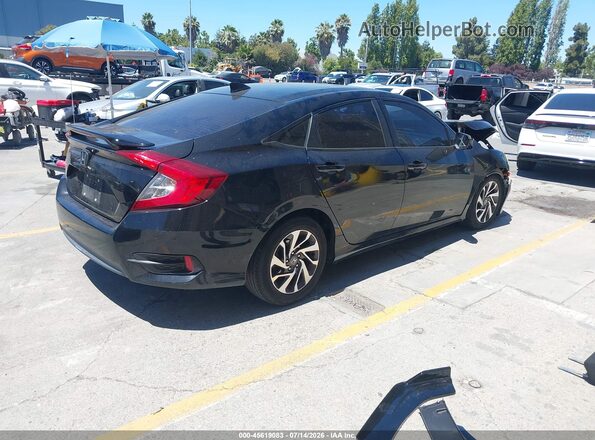 2HGFC2F74HH527128 2017 HONDA CIVIC Black Հետևի աջ