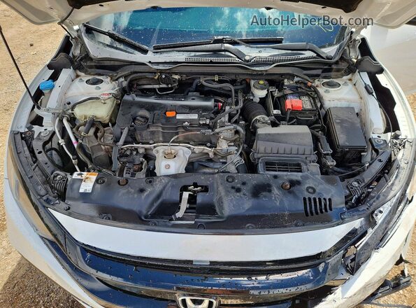 2HGFC2F80MH529798 2021 HONDA CIVIC White Սալոնի հետևի տեսք