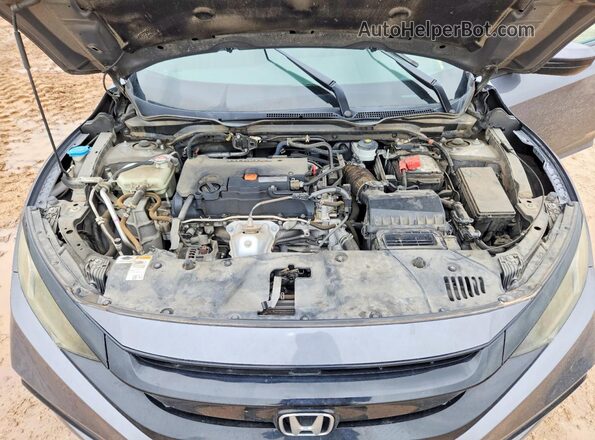 2HGFC2F86LH507786 2020 HONDA CIVIC Gray Սալոնի հետևի տեսք