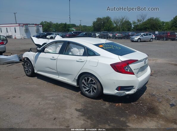 2HGFC2F87HH575666 2017 HONDA CIVIC Белый Задняя левая четверть