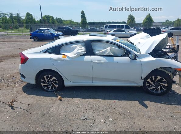 2HGFC2F87HH575666 2017 HONDA CIVIC Белый Вид задней части салона