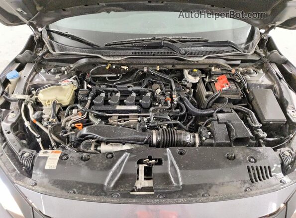 2HGFC3B30LH350837 2020 HONDA CIVIC Gray Widok wnętrza z tyłu