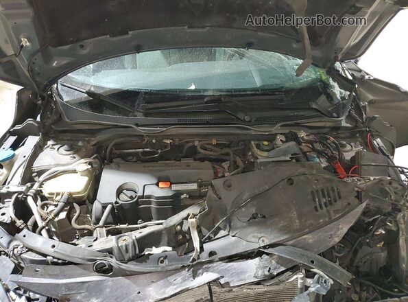 2HGFC4B00GH310050 2016 HONDA CIVIC Серый Вид задней части салона