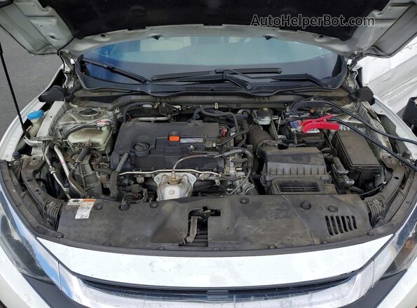 2HGFC4B53HH312596 2017 HONDA CIVIC White Widok wnętrza z tyłu