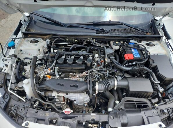 2HGFE1F90RH323918 2024 HONDA CIVIC White უკანა სალონის ხედი