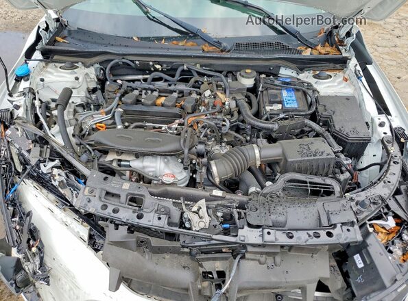 2HGFE1F91RH300681 2024 HONDA CIVIC White უკანა სალონის ხედი