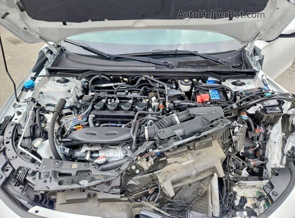 2HGFE1F94PH319125 2023 HONDA CIVIC Белый Вид задней части салона