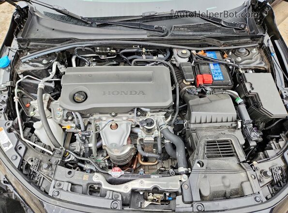2HGFE2F22TH506981 2026 HONDA CIVIC Черный Вид задней части салона
