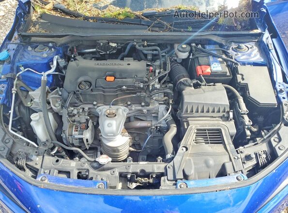 2HGFE2F54RH524319 2024 HONDA CIVIC Blue Вид задньої частини салону