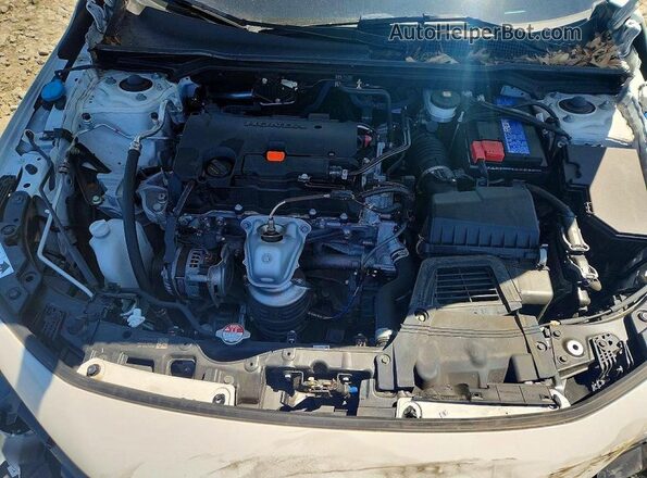 2HGFE2F57RH587642 2024 HONDA CIVIC Белый Вид задней части салона