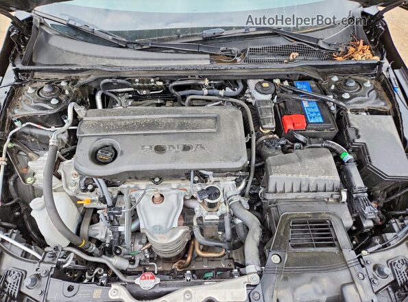 2HGFE2F58SH563517 2025 HONDA CIVIC Черный Вид задней части салона