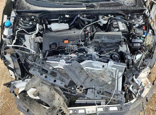 2HGFE2F59RH519889 2024 HONDA CIVIC Black უკანა სალონის ხედი