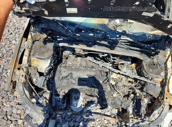 2HGFE2F5XRH571824 2024 HONDA CIVIC Белый Вид задней части салона