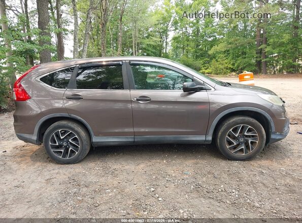 2HKRM3H42GH531542 2016 HONDA CR-V Коричневый Вид задней части салона