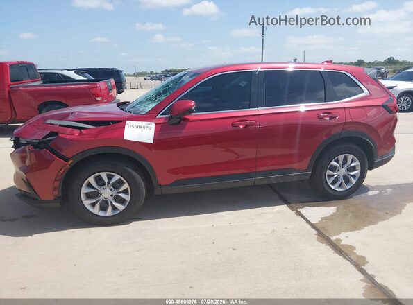 2HKRS3H23TH339044 2026 HONDA CR-V Red Սալոնի 360 աստիճան տեսք