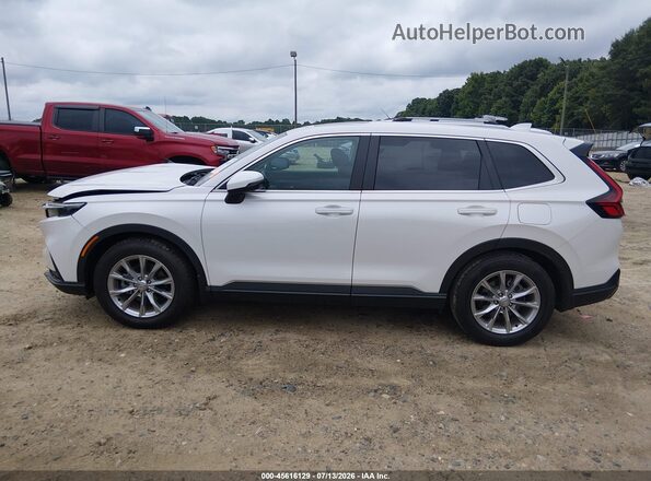 2HKRS3H40PH307479 2023 HONDA CR-V White Widok wnętrza 360 stopni