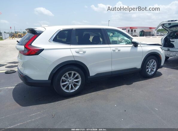 2HKRS3H41RH324746 2024 HONDA CR-V Бежевый Задняя правая четверть