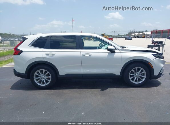 2HKRS3H41RH324746 2024 HONDA CR-V Бежевый Вид задней части салона