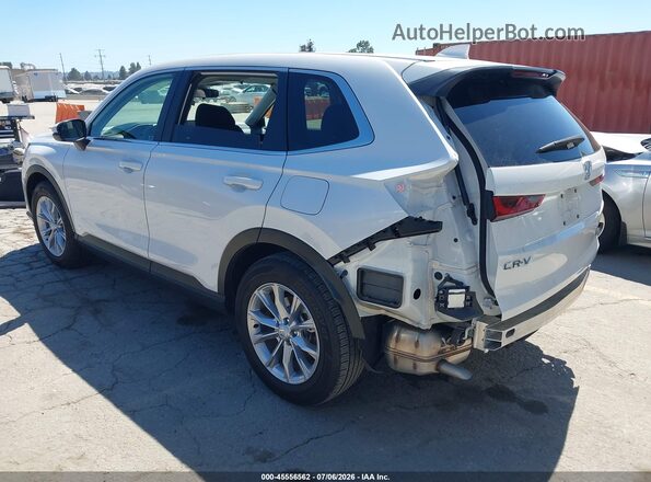 2HKRS3H48SH333773 2025 HONDA CR-V Белый Задняя левая четверть