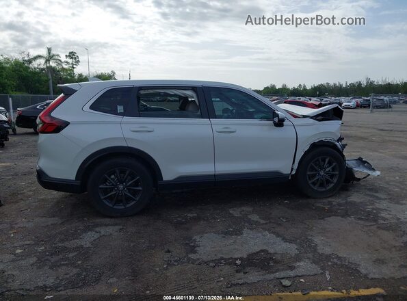2HKRS3H71TH328135 2026 HONDA CR-V Белый Вид задней части салона