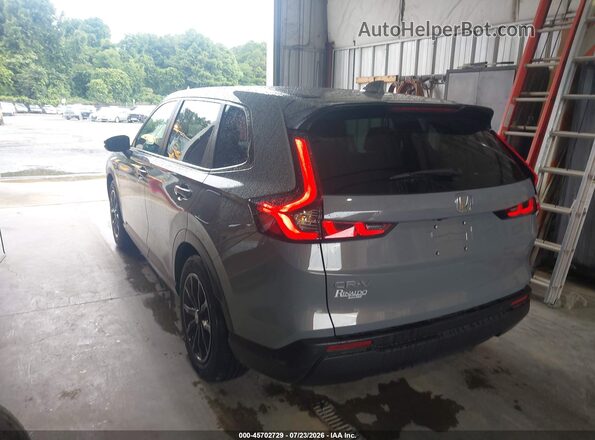 2HKRS3H72SH326196 2025 HONDA CR-V Gray Հետևի ձախ