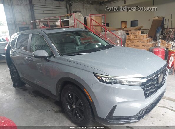 2HKRS3H72SH326196 2025 HONDA CR-V Gray Սալոնի հետևի տեսք