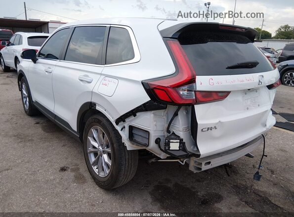 2HKRS3H73RH316934 2024 HONDA CR-V Белый Задняя левая четверть