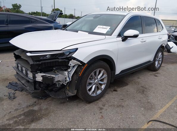 2HKRS3H73RH316934 2024 HONDA CR-V Белый Передняя левая четверть