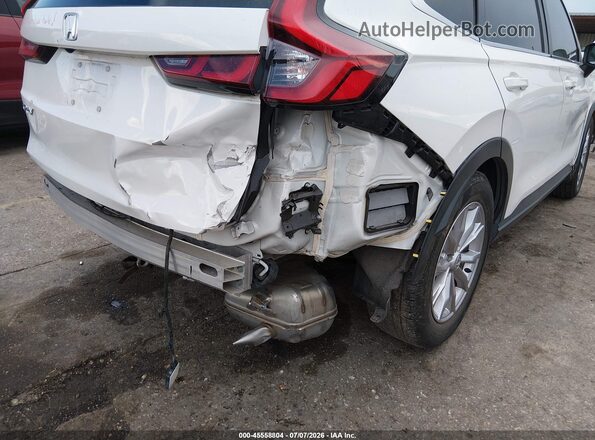 2HKRS3H73RH316934 2024 HONDA CR-V Белый Вид спереди