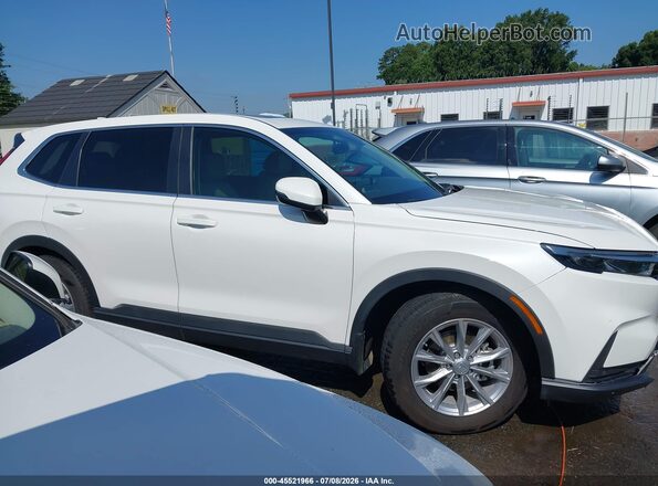 2HKRS3H74SH324420 2025 HONDA CR-V White Widok wnętrza z tyłu