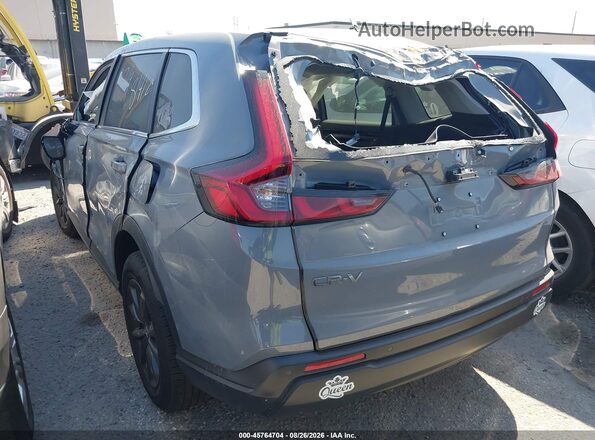 2HKRS3H74TH314990 2026 HONDA CR-V Gray Задня ліва чверть