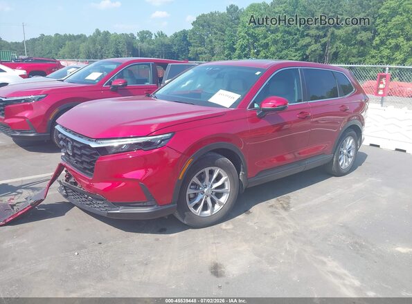 2HKRS3H76RH313235 2024 HONDA CR-V Красный Передняя левая четверть