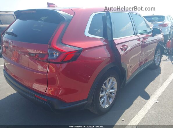 2HKRS3H76RH313235 2024 HONDA CR-V Красный Задняя правая четверть