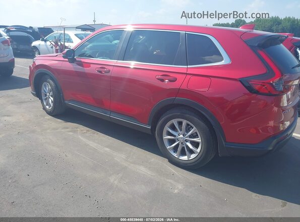 2HKRS3H76RH313235 2024 HONDA CR-V Красный Задняя левая четверть